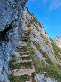 Photo de Moro le long du parcours