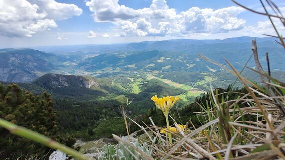 Foto von Regina Fleischmann entlang der Tour