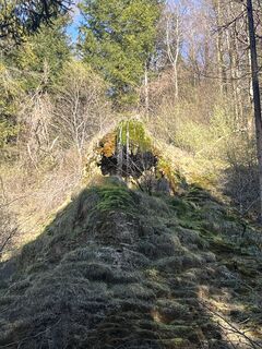 Foto de Kathrin N. a lo largo del recorrido