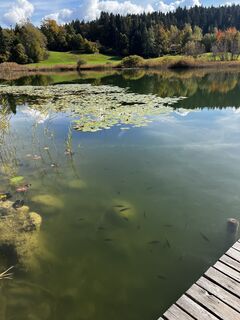 Foto von Manuel Lackner entlang der Tour
