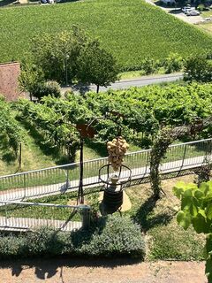 Foto von Monika Gollob entlang der Tour