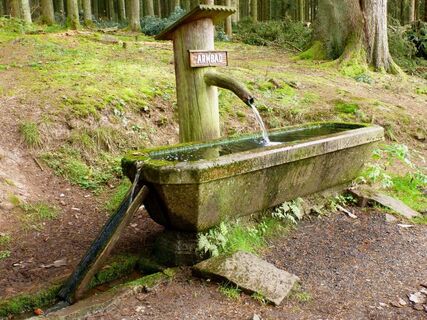 Armbad-Brunnen