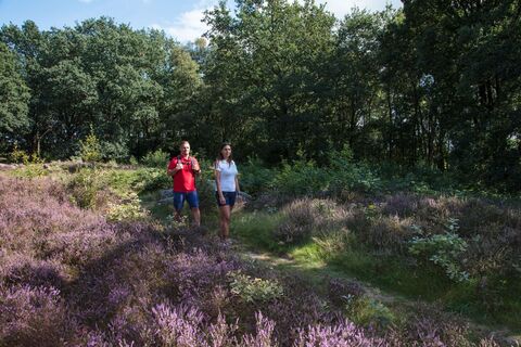 Hünengräberstraße des Hümmling bei Groß Berßen ©Naturpark Hümmling (6)