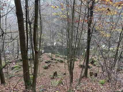 Fotografija s spletne strani Babs Holz na poti