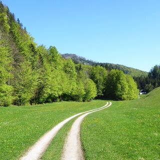 Von der Hochebene Obenau aus lässt sich der Almkogelrücken schon erkennen.