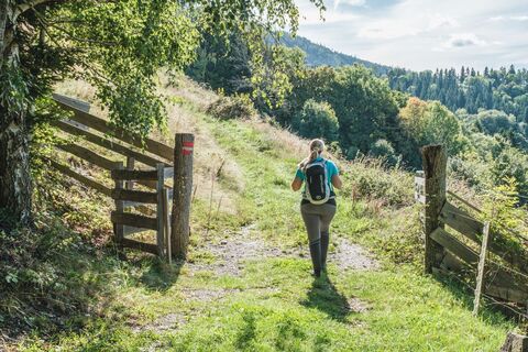 R5a Wanderweg Semriach, Präbichl - Glett