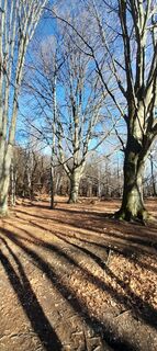 Photo de COSIMO SERRA le long du parcours