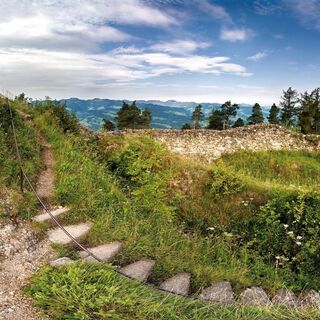 Ruine Neutoggenburg