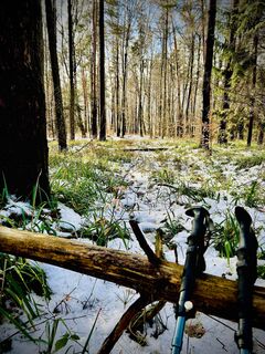 Foto de Kellner Heidi a lo largo del recorrido