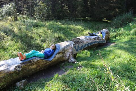 Wassergemurmelhörliegen