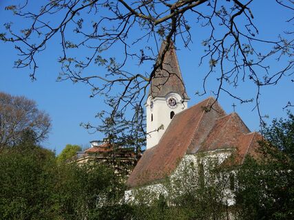 Hofarnsdorf - Oberkienstock - Seekopf - Schenkenbrunn - Gansbach