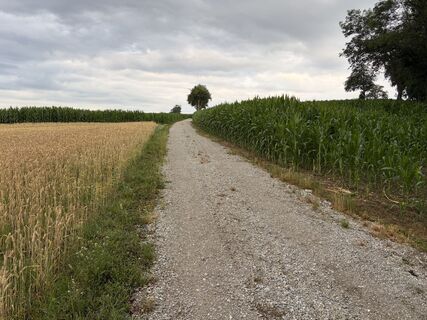 Foto von Alfons Wiesinger 1 entlang der Tour