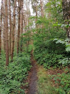 Auf dem schmalen Pfad unterwegs