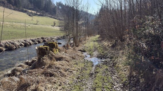 Foto de Gerhard Pock a lo largo del recorrido