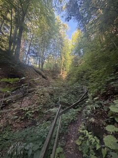 Photo de Nico ?️ le long du parcours