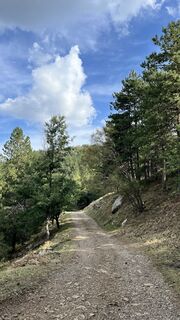 Photo de Simone baglieri le long du parcours