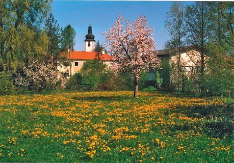 Zemljevid