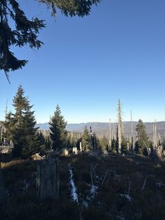 Fotografie z Egon Dullinger na trase