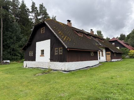 Photo de Wilson Holz le long du parcours