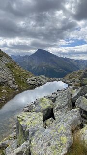 Fotografija s spletne strani theresa czerny na poti