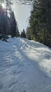 Zdjęcie z Alessio Sacco wzdłuż trasy