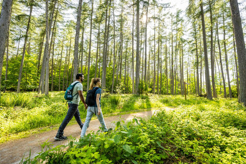 Wandern im Natur-Erlebnisraum Wilder Kermeter