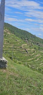 Fotografia z Elfriede Moessler na trase