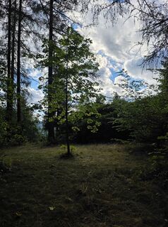 Photo de Michael Kammerer 2 le long du parcours