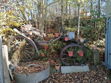 Foto von Wanderfux entlang der Tour