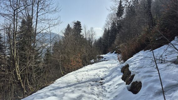 Foto de Szuki76 a lo largo del recorrido