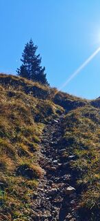 Foto de Luca Sangiorgio a lo largo del recorrido