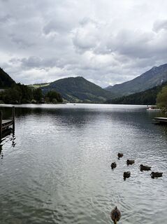 Fotografia z Gyula Gerecs na trase