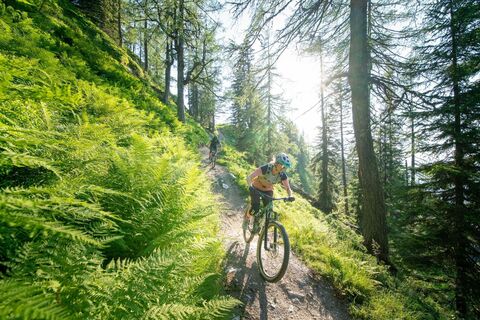Mountainbiken auf dem Gassl Trail