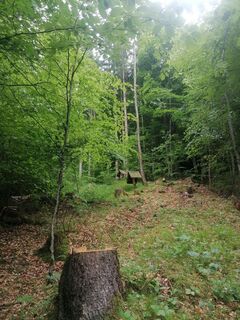 Photo de Susanne Farwer le long du parcours