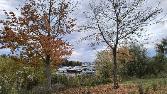 Fotografia z Platon na trase