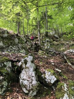 Foto de xmann2 a lo largo del recorrido