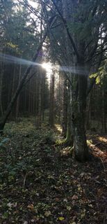 Fotografija s spletne strani petra zöchner na poti