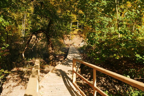 Holzweg an der Abtei Marienmünster