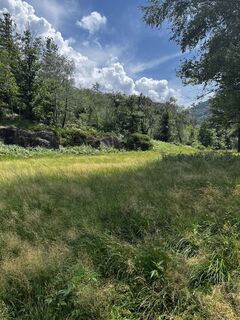 Foto von Nadia Skretas entlang der Tour