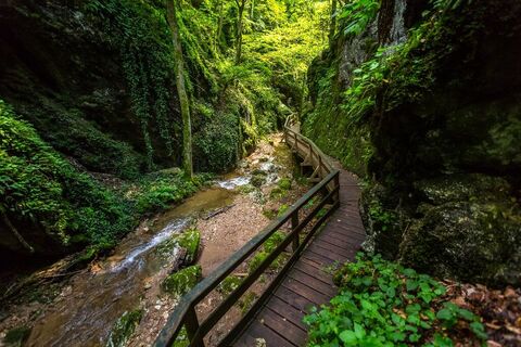 Johannesbachklamm Würflach