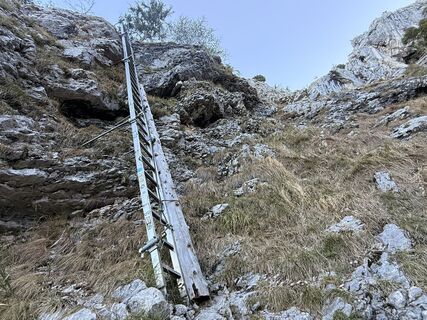 Fotografija s spletne strani Natur_erleben_dg na poti
