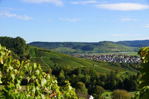 Blick auf´s Eschenauer Paradies | Obersulm | Weinsberger Tal | HeilbronnerLand