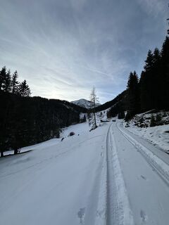 Foto von Wolfgang Erdkönig 1 entlang der Tour