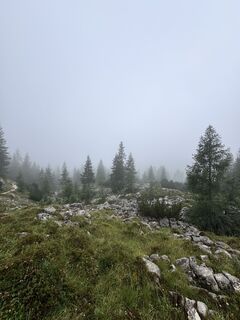 Fotografia z Dedanieldeboer na trase