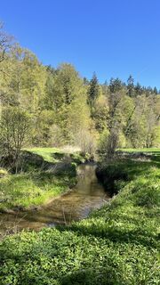 Photo de B3rgF3x_hwr_5E le long du parcours