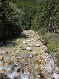 Foto von Petra Jost entlang der Tour
