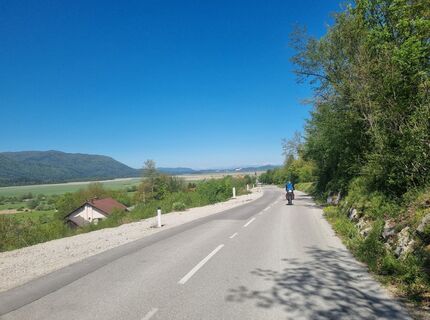 Foto de Grizli a lo largo del recorrido