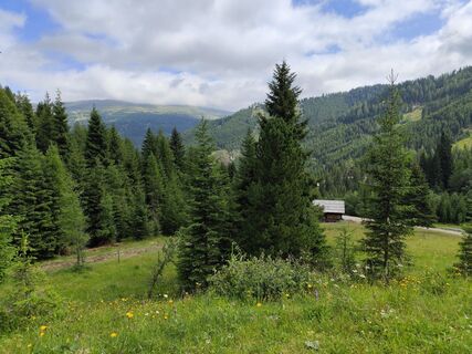 Zdjęcie z Albin1958 wzdłuż trasy