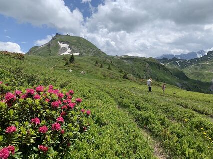Fotó a Koen De Wit honlapról a túra során