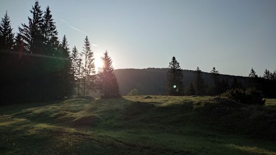 Foto von WilliSt entlang der Tour